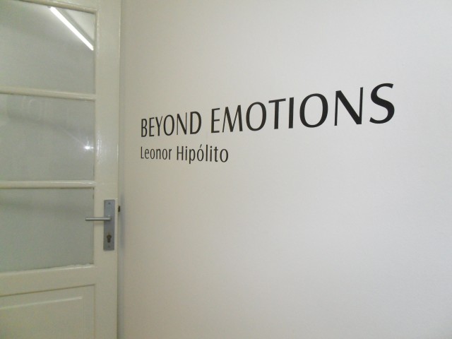 leo Vista da exposição BEYOND EMOTIONS
